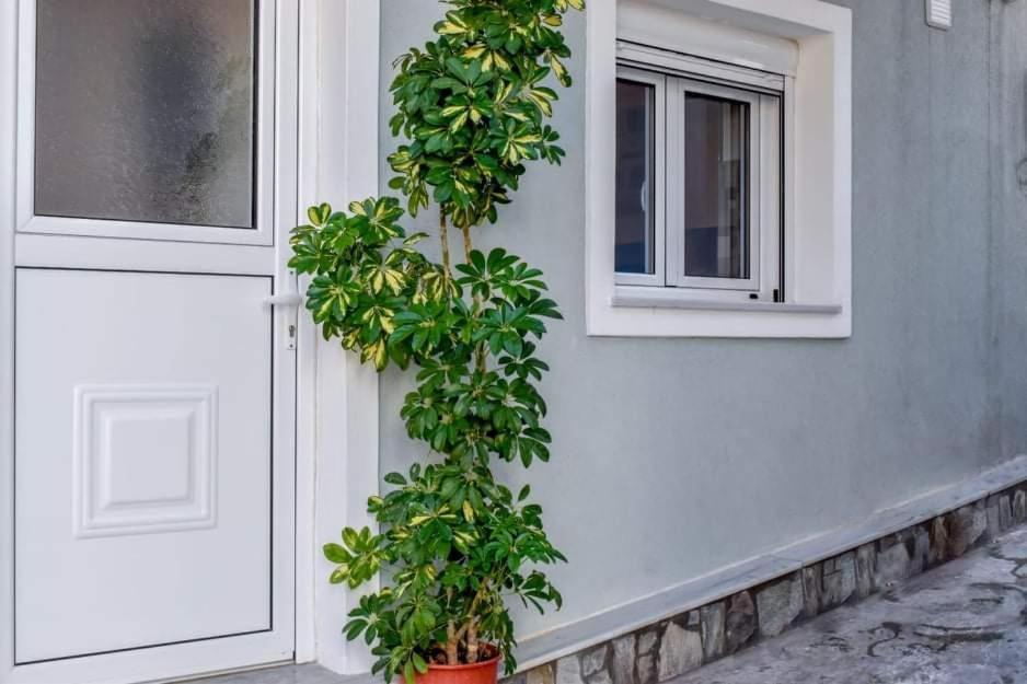 Klaidis House Daire İskados Dış mekan fotoğraf
